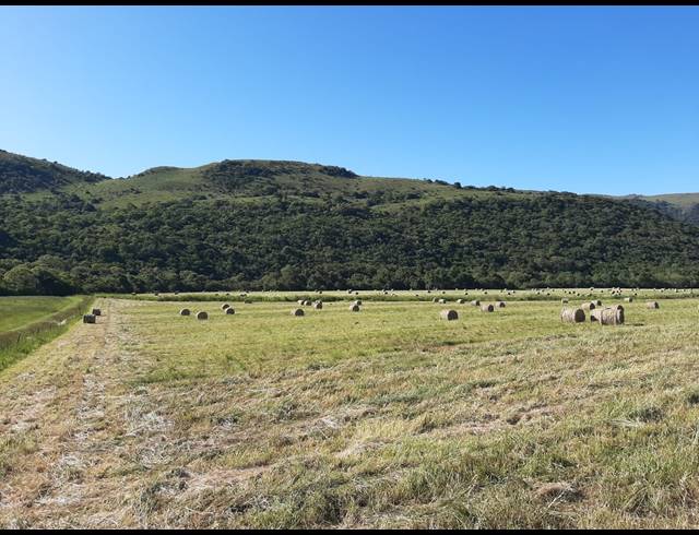 236HA FARM SOLD IN NELSPRUIT RURAL